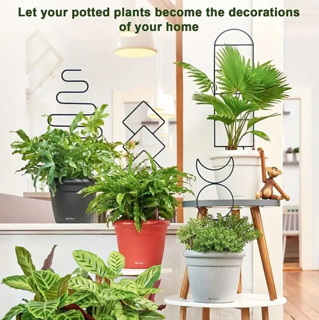 Guías para plantas