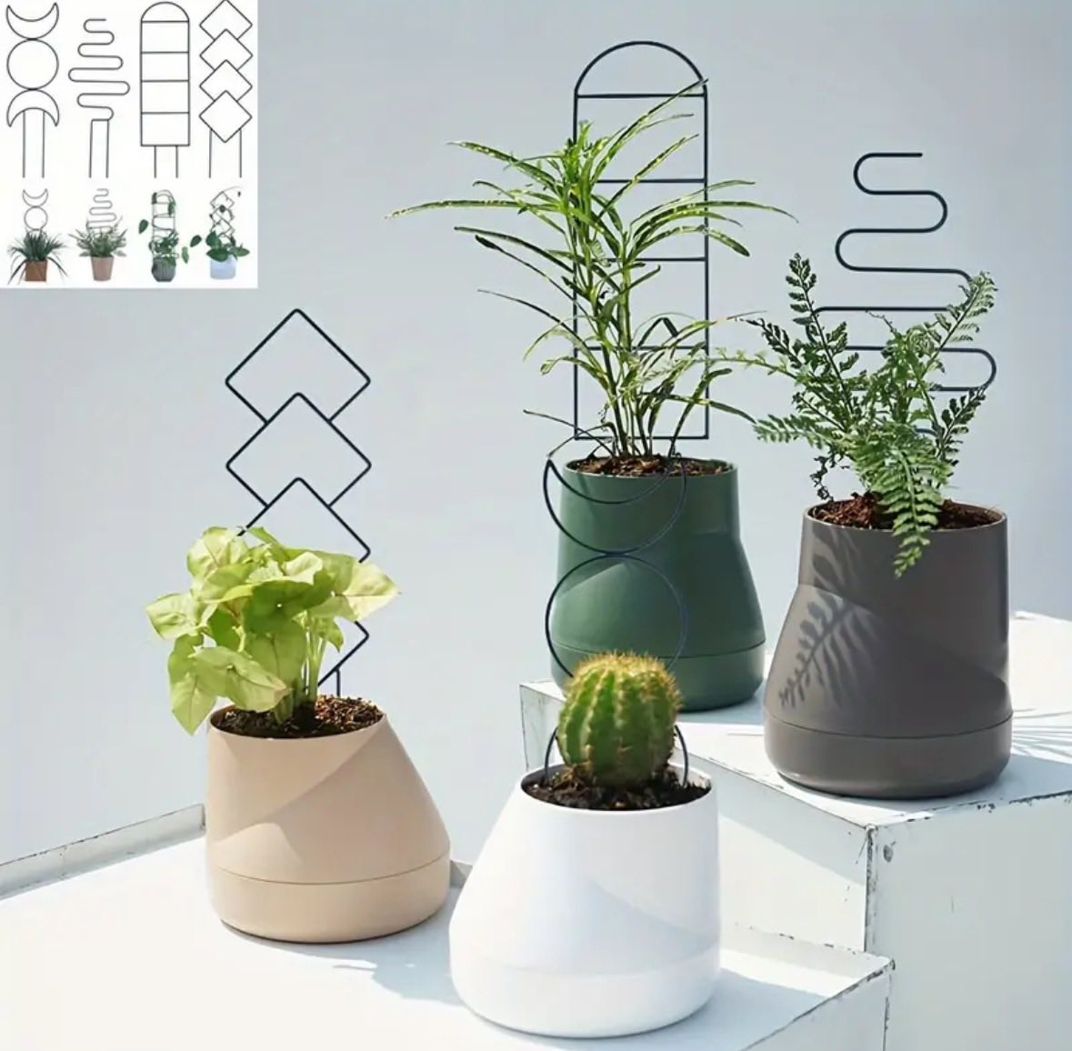 Guías para plantas