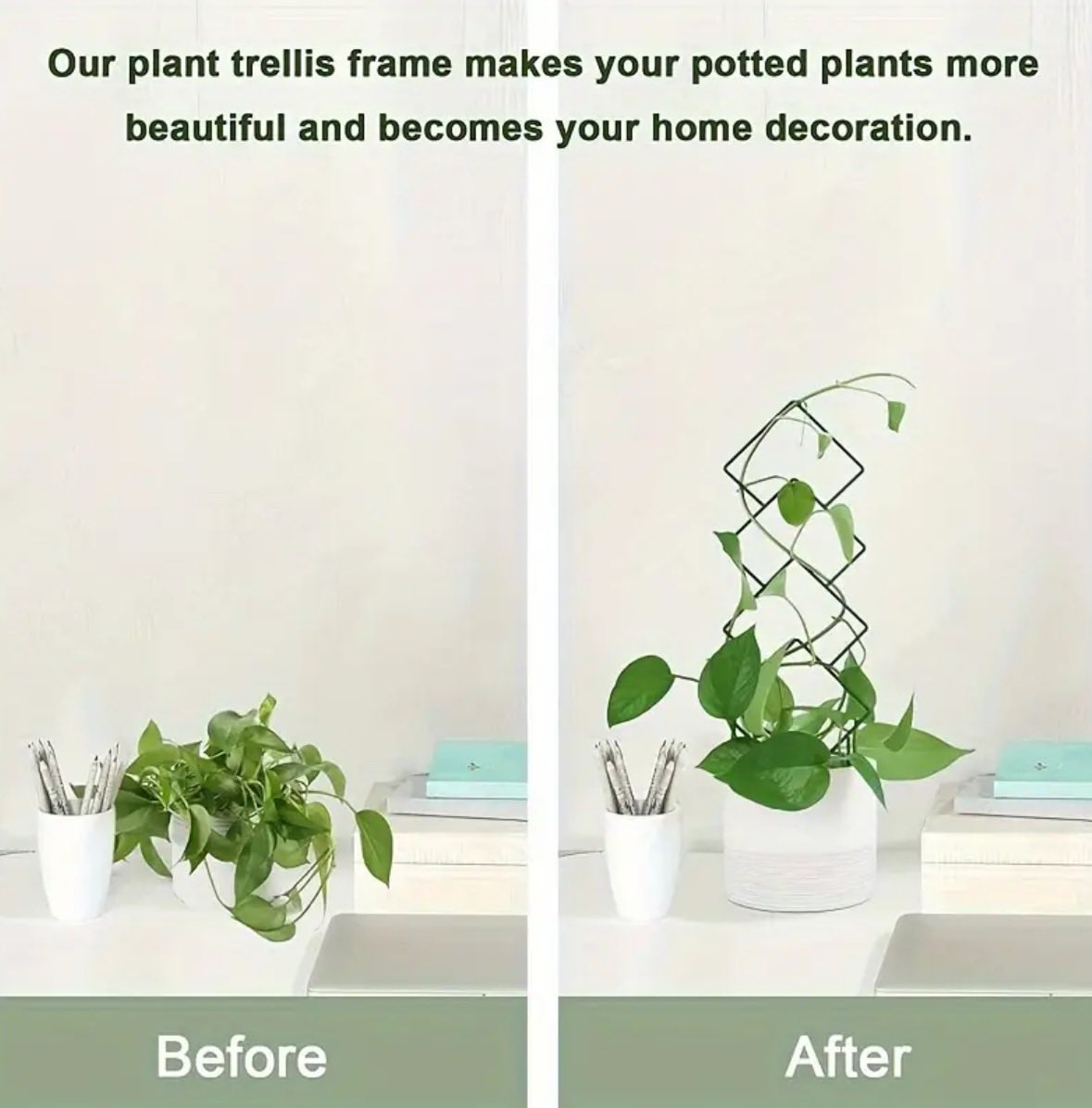 Guías para plantas