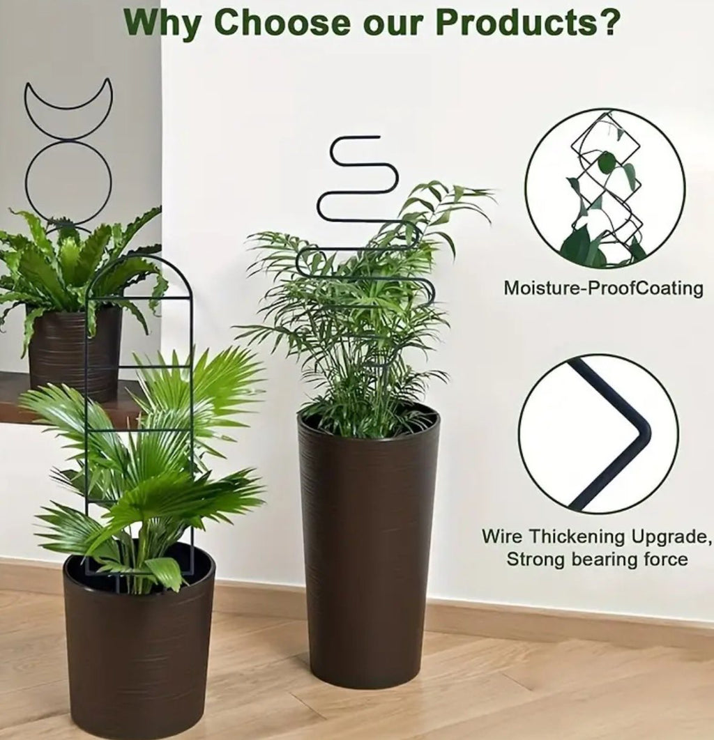 Guías para plantas