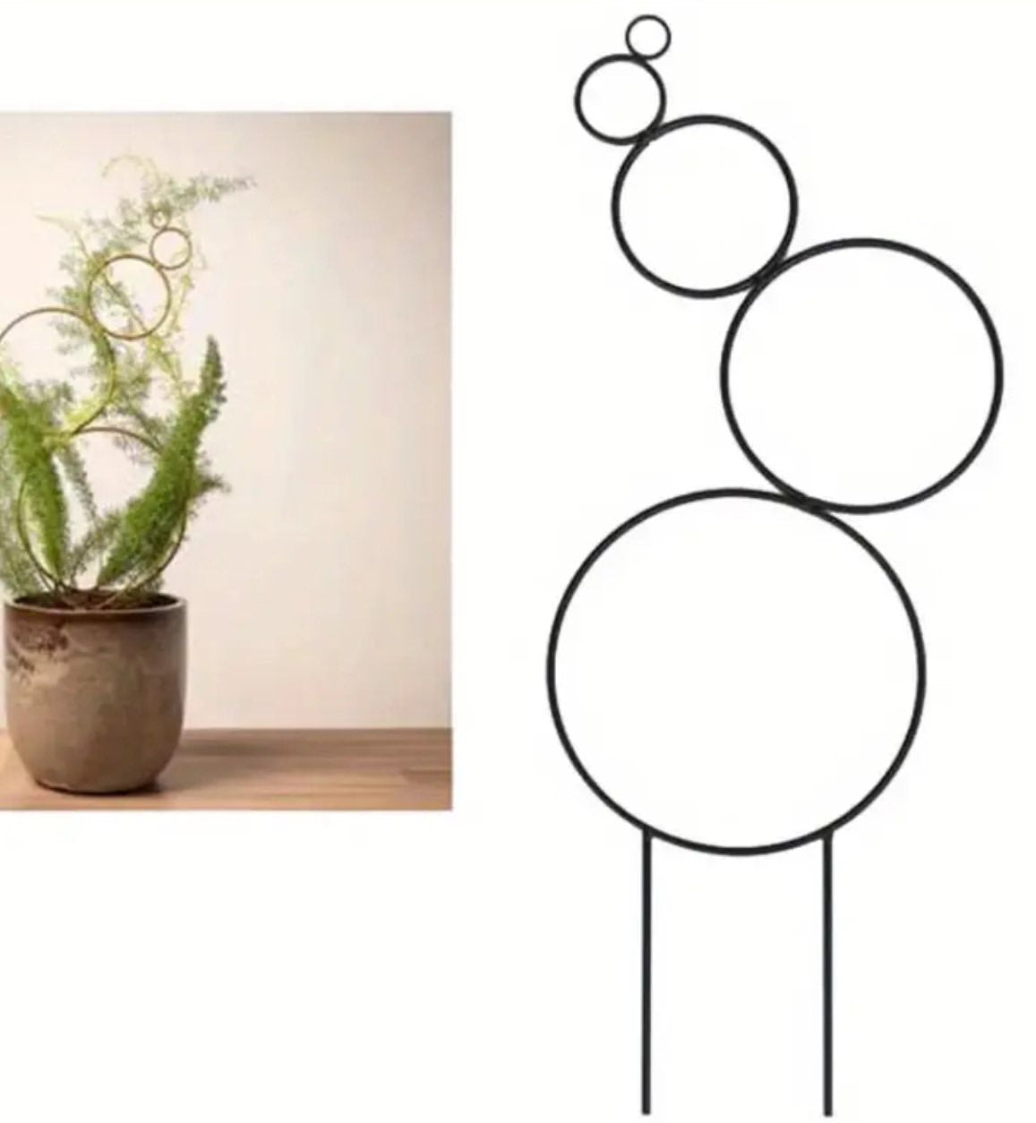 Guías para plantas